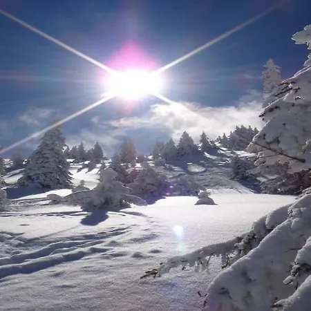 Gaisberg By Managers Chalet Kirchberg in Tirol